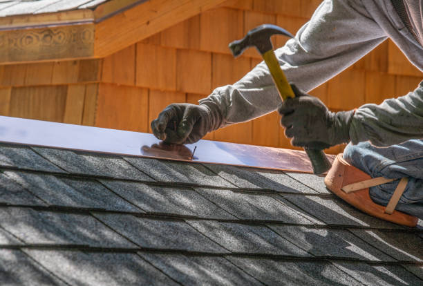 Best Metal Roofing Installation  in Newton, MS