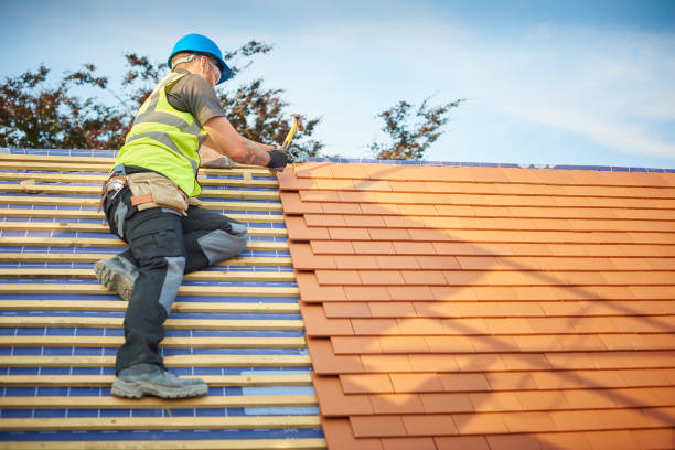 Best Roof Moss and Algae Removal  in Newton, MS